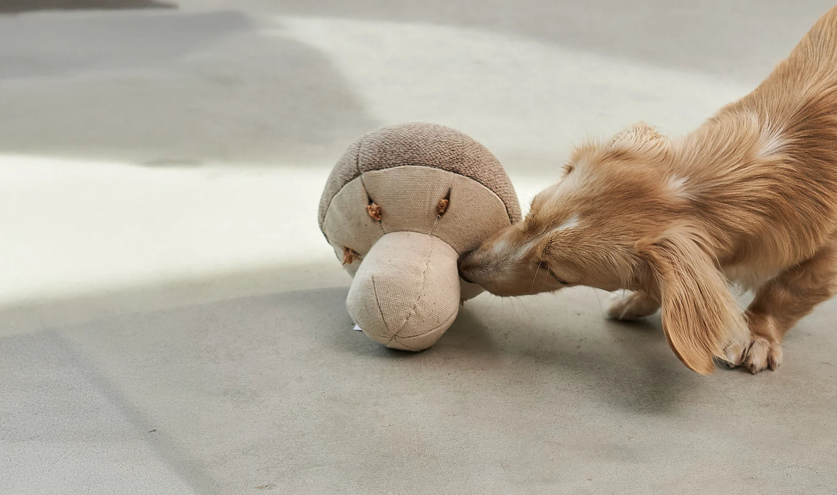 Foresta Schnüffelspielzeug