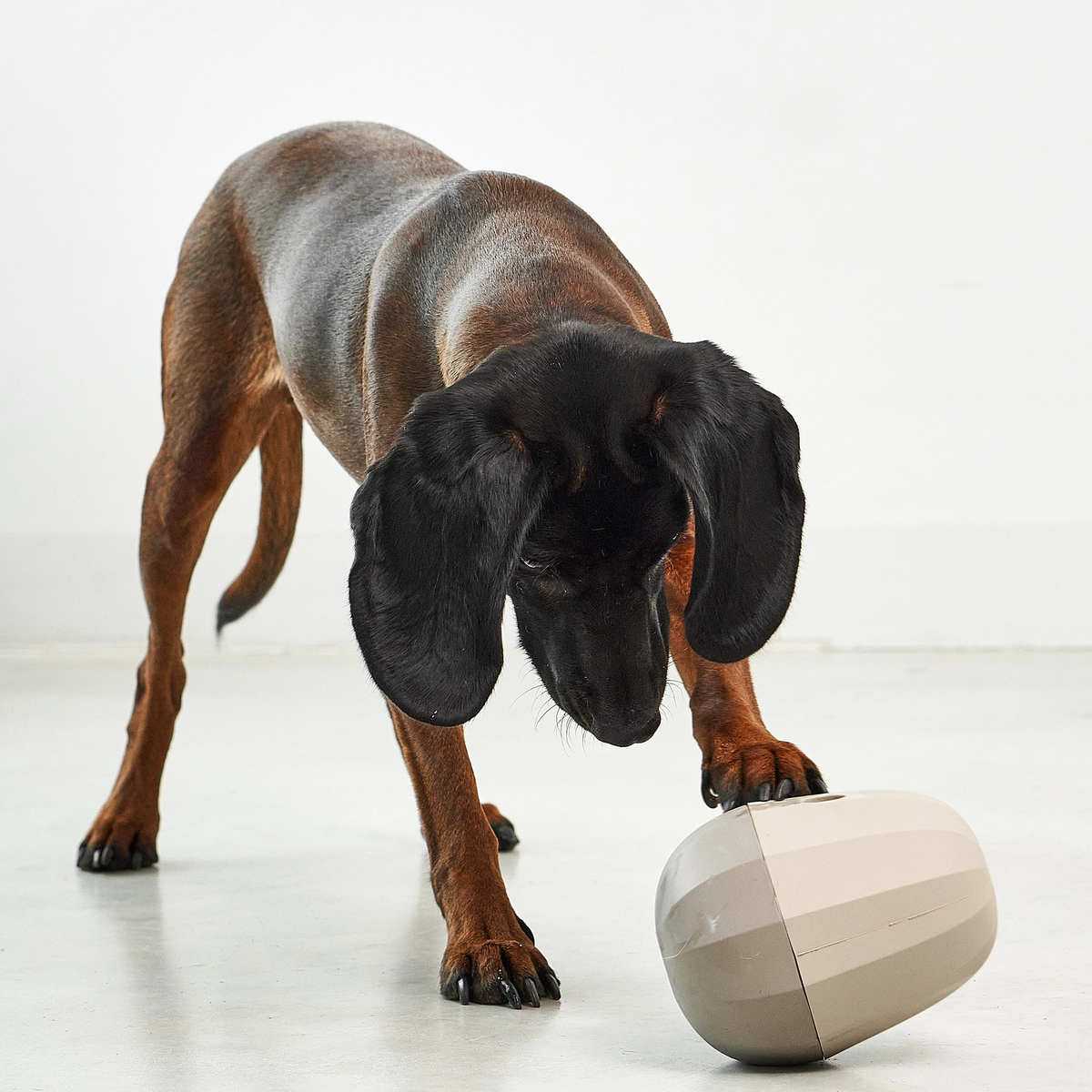 Uovo Beschäftigungsspielzeug Greige