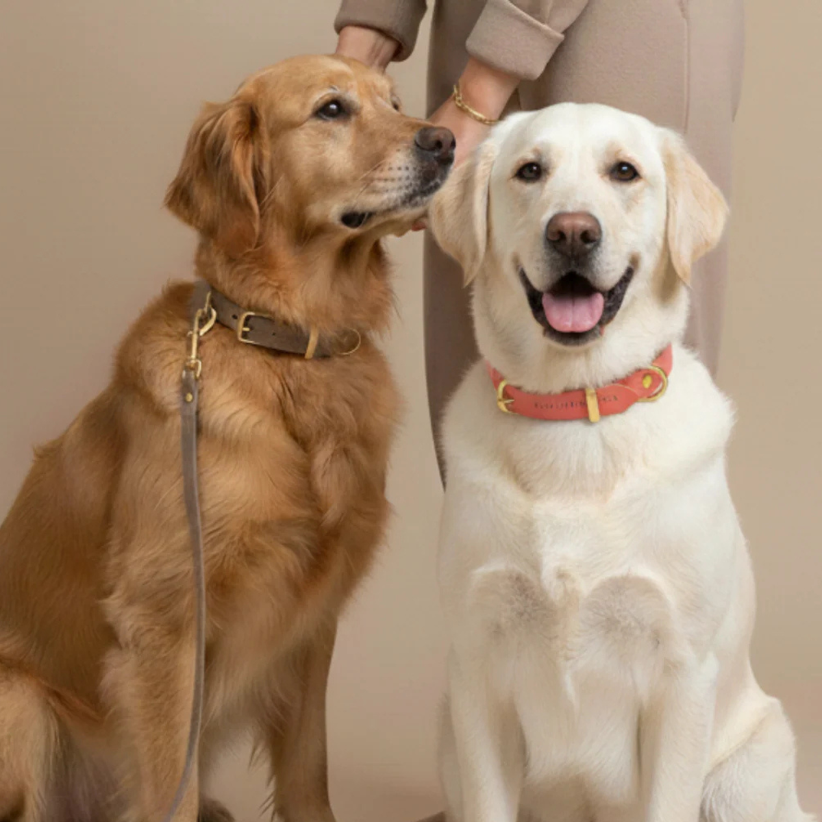 Butter Leather Hundehalsband Taupe