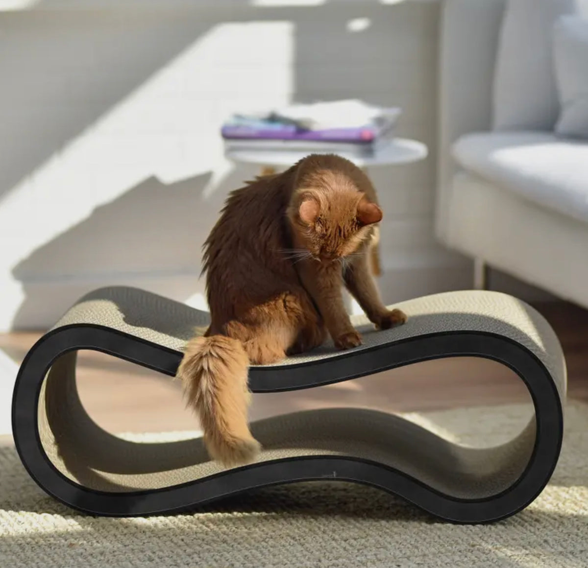 Design Katzenmöbel Singha L