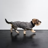 Hundemantel Dackel Brooklyn Tweed Black