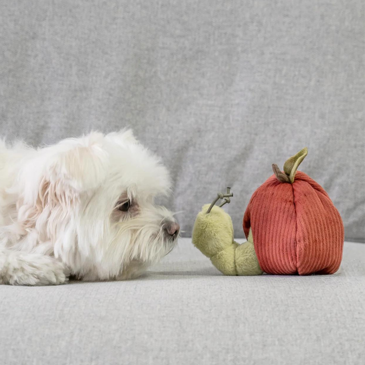 APPLE Crinkly + Burrow