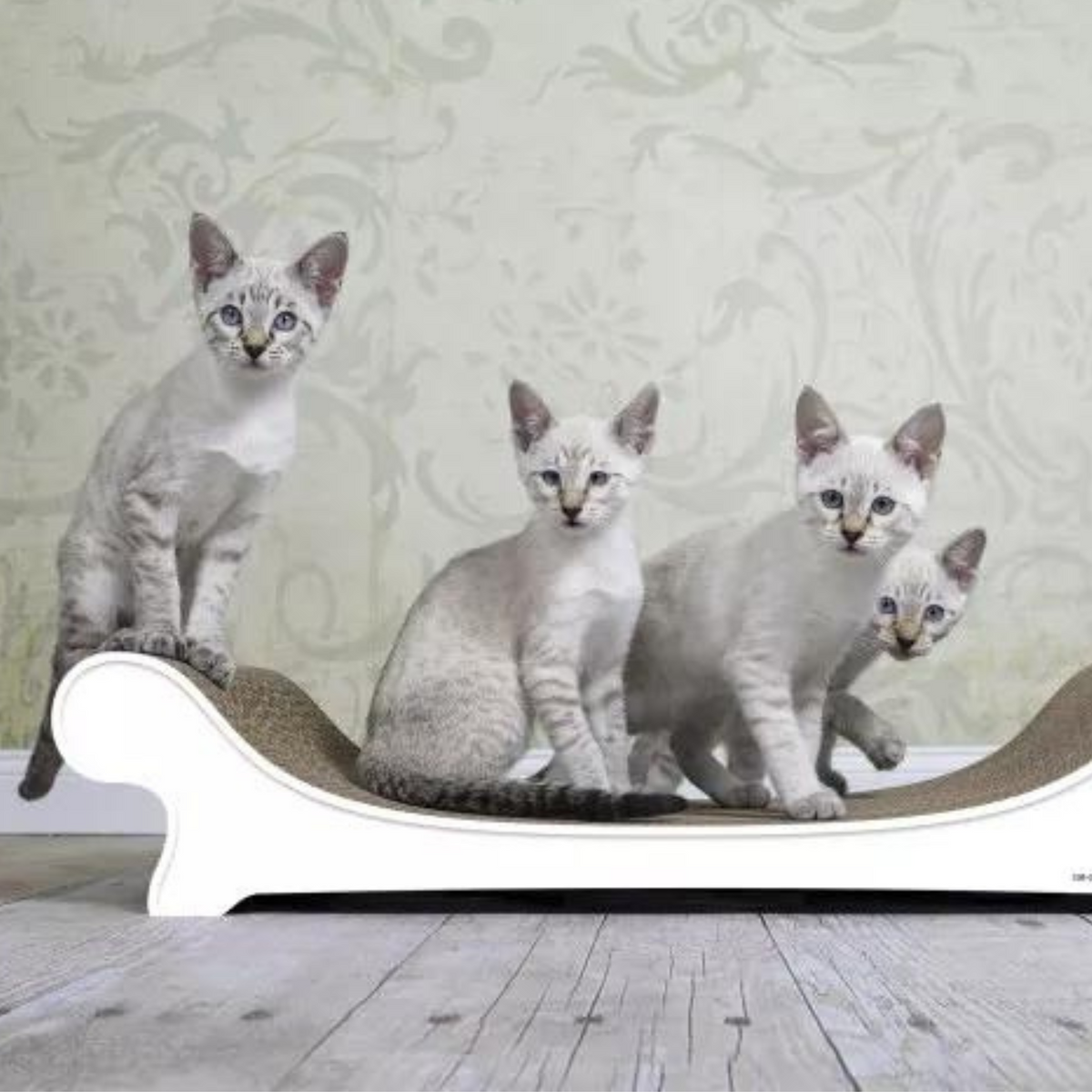 LE CANAPÉ Katzensofa