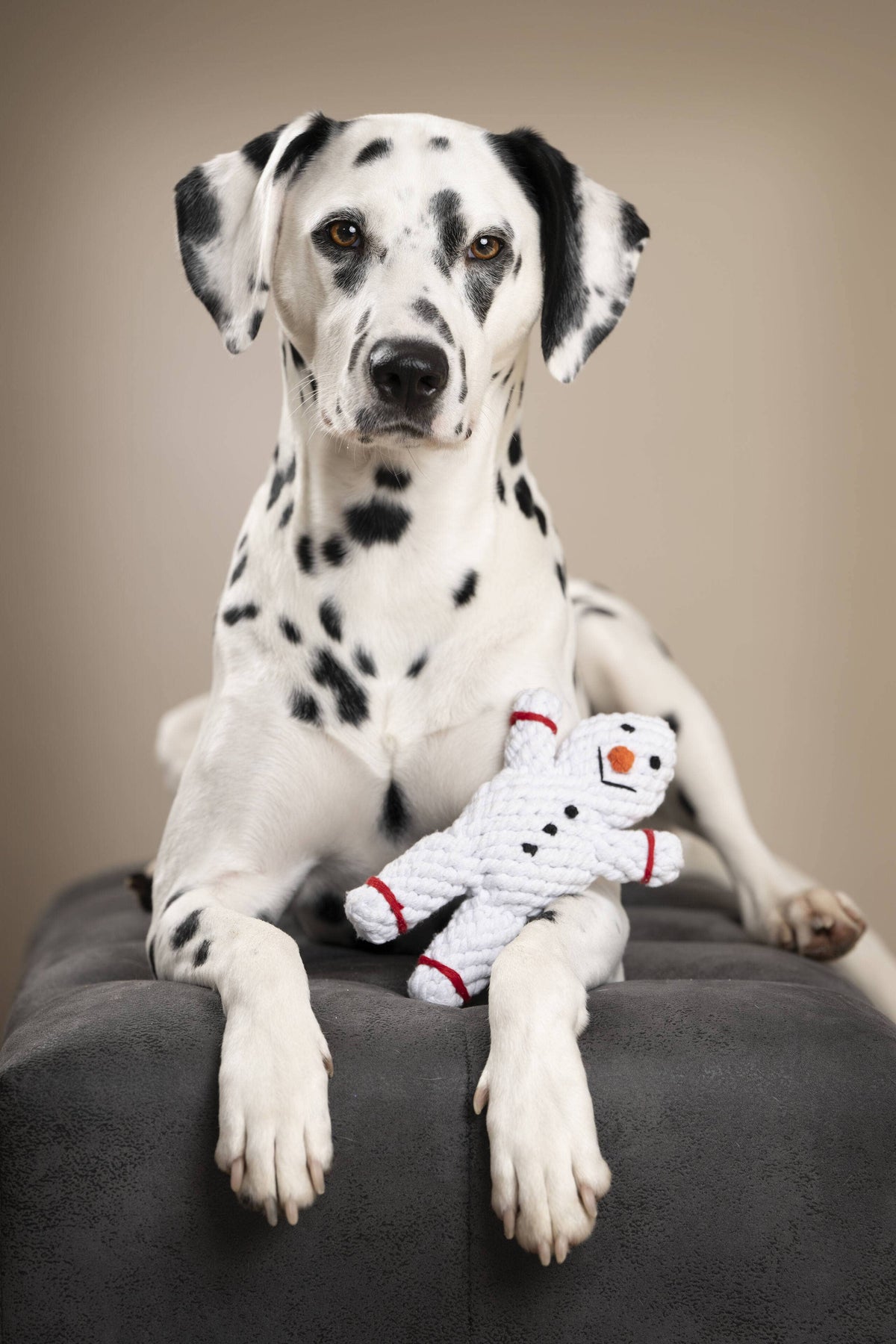 Shawn der Schneemann - Dog Toy