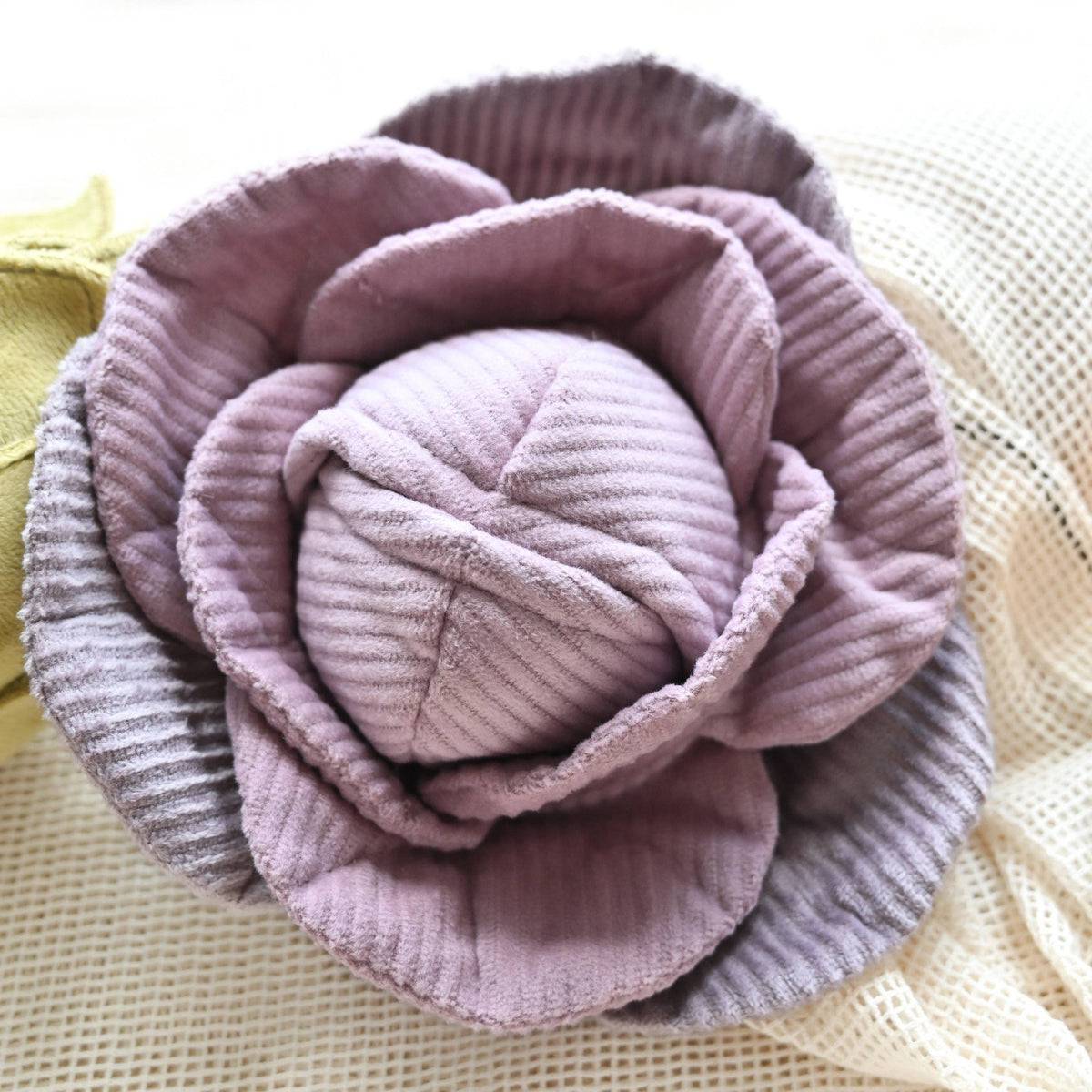 CABBAGE POP//ENRICHMENT HUNDESPIELZEUG