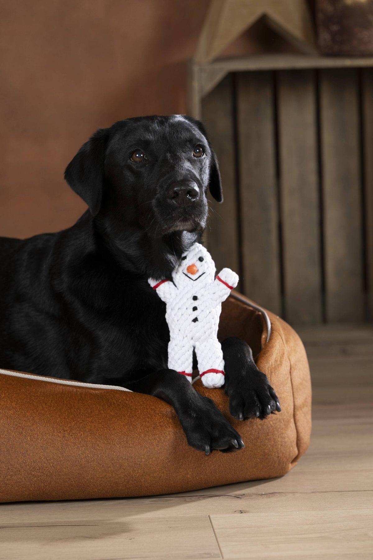 Shawn der Schneemann - Dog Toy