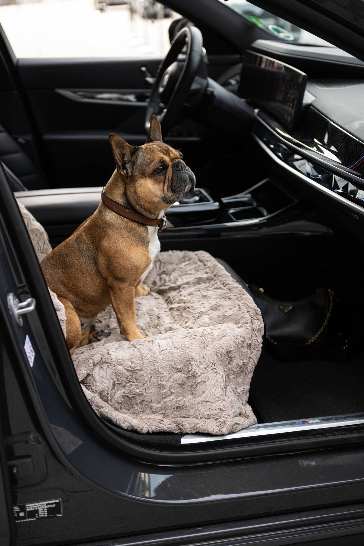 COZY BEIGE - Webpelz-Decke