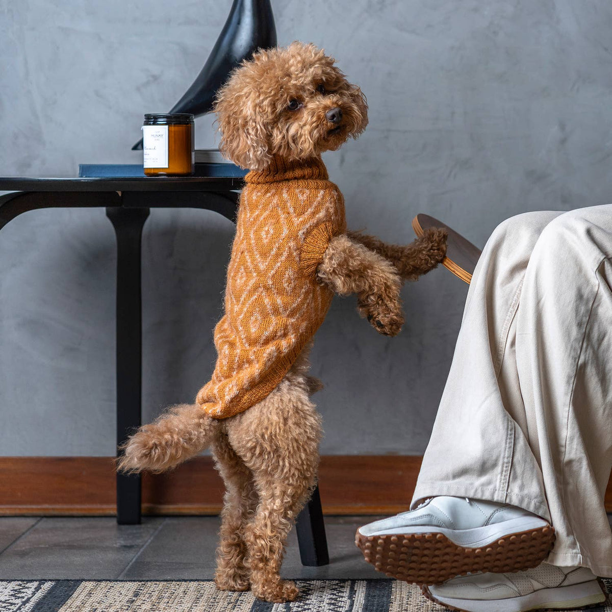 Golden Ochre  Alpaka-Hundepullover