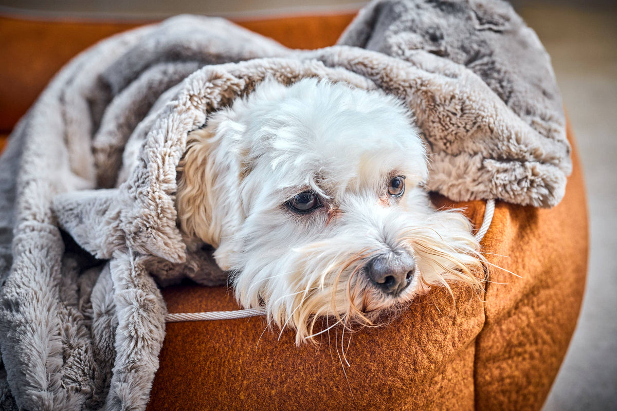 COZY BEIGE - Webpelz-Decke