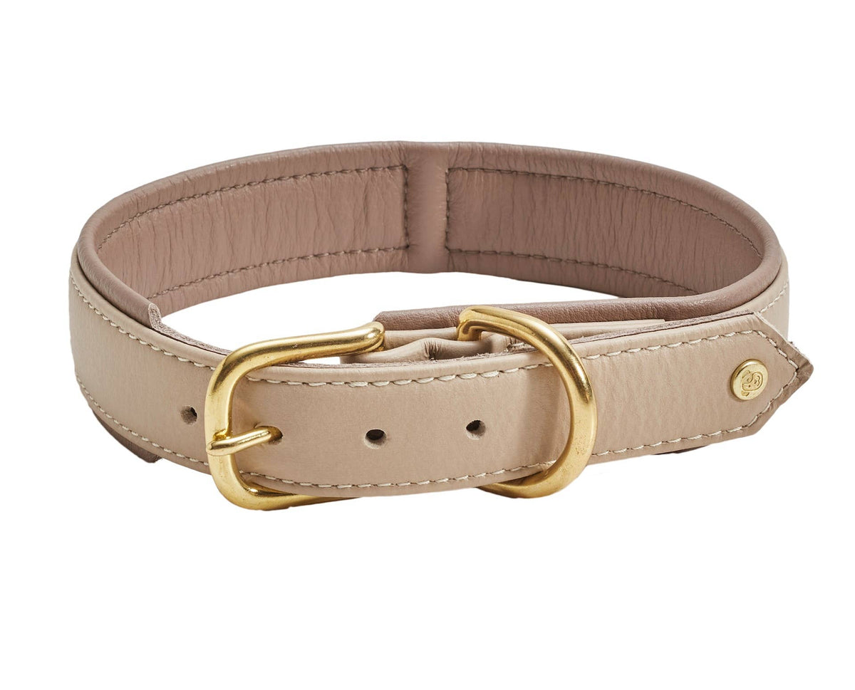 AMICI Hundehalsband IVORY