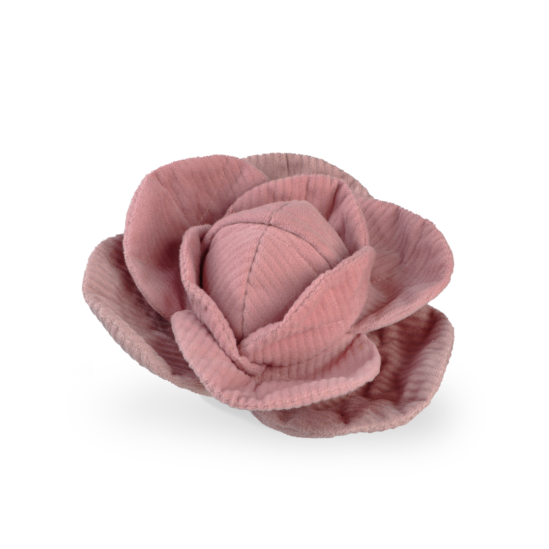 CABBAGE POP//ENRICHMENT HUNDESPIELZEUG