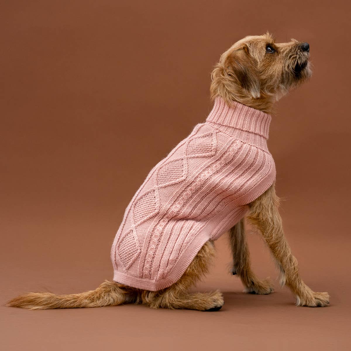 Blush Pink Aran -Alpaka-Hundepullover