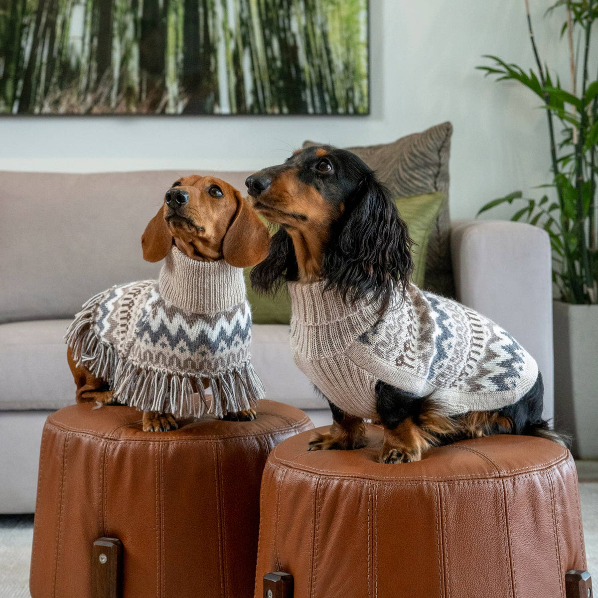 Wolly Winter-Alpaka-Hundepullover