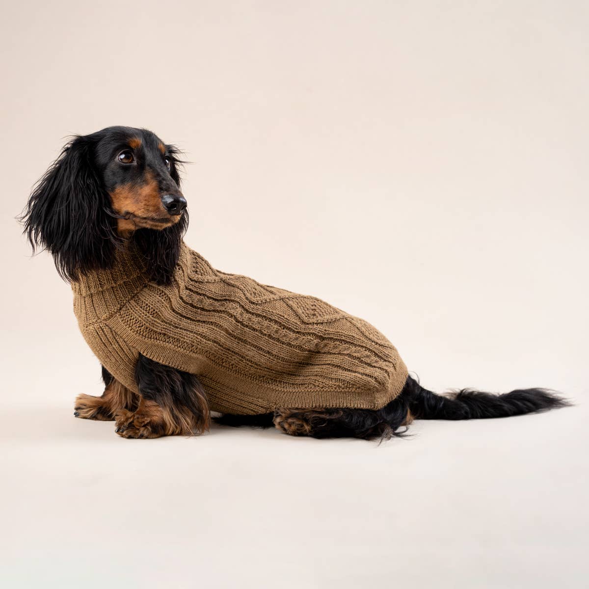 Camel Aran Alpaka Hundepullover