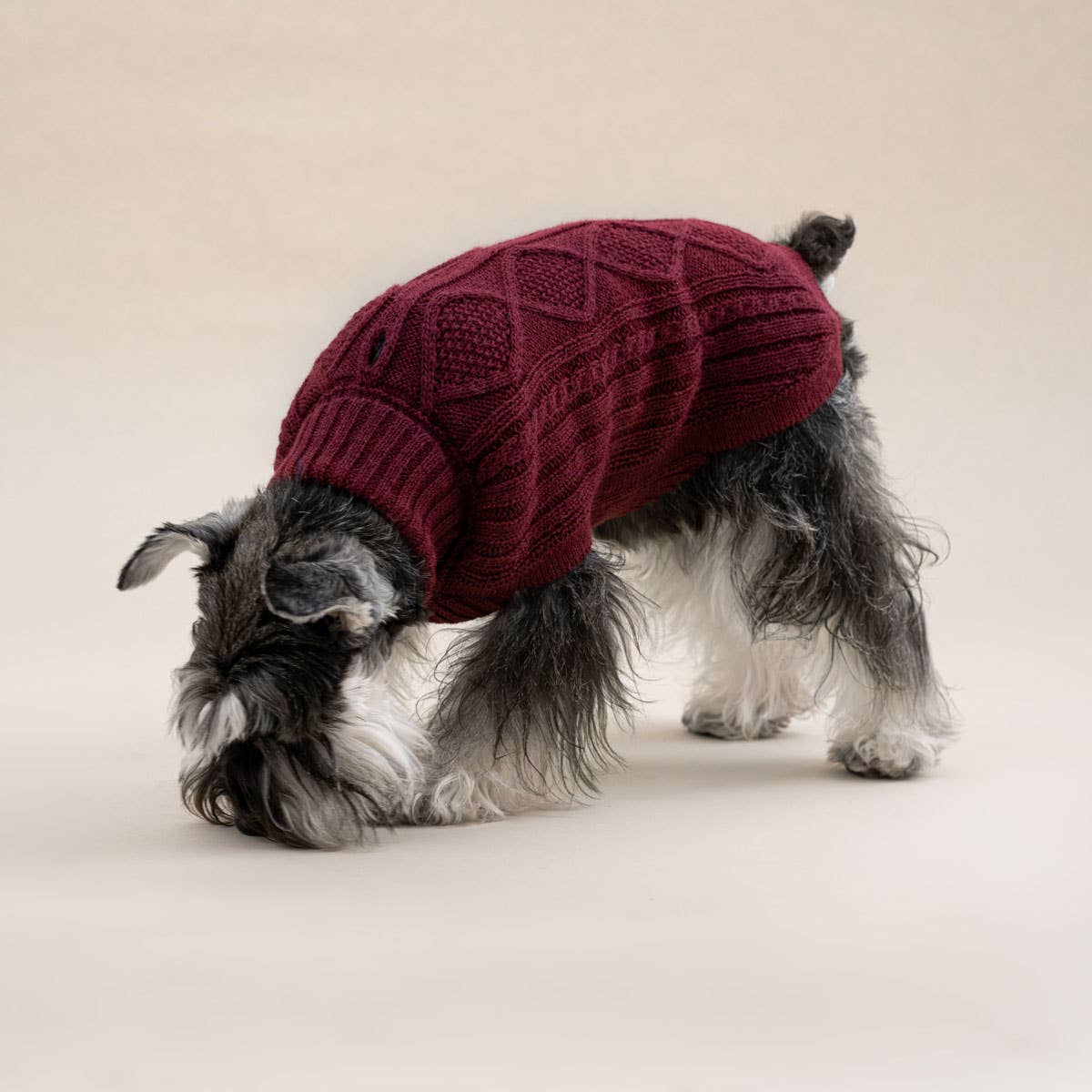 Weinroter Aran-Alpaka-Hundepullover